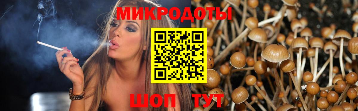 Галлюциногенные грибы мухоморы  дарнет шоп  Воронеж  Вход с VPN  Галлюциногенные грибы мухоморы 